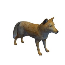tibetan hill fox v1 animals printable lowpoly 3d print model - Mito3D