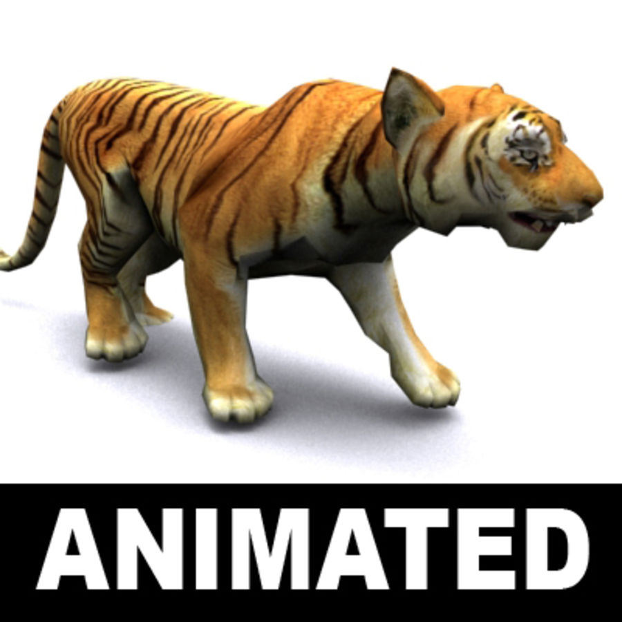 tiger animated animal animted beast cat feline fur game kvakling leopard lion lower lowpoly mammal monster poly rig rpg white wild zoo 3D print model - Mito3D