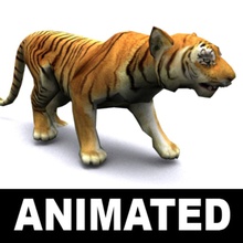 tiger animiert Tier animierte animted Ungeheuer cat feline Fell Spiel kvakling leopard lion niedrigere lowpoly säugetier monster poly rig rpg weiß wild zoo 3d print model - Mito3D