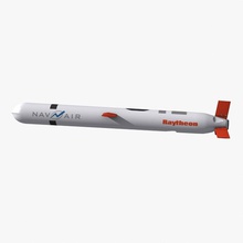 tomahawk cruise missile akakus artillery bomb model projectile rocket shell warhead weapon 3d print model - Mito3D
