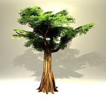 árvore 3ds jogo a folha inferior lowpoly modelo obj pit3dd planta poli polígono pronta pequena 3d print model - Mito3D