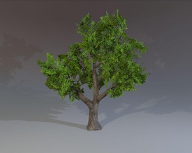 ağaç bark şube orman oyun manzara yaprak daha düşük göster model bitki poly qiwer hazır arazi ahşap 3d print model - Mito3D