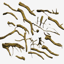 ağaç kökleri udk driftwood ağartılmış şube cermaka toplama ölü sürüklenme oyun model doğa eski bitki plantwood racine gerçek kök güdük zaman gövde örtüsü video ahşap 3d print model - Mito3D