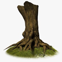 tree roots 3d bark bleached branch dead dry environments fantasy forest grass model old outdoor pit3dd plant plantwood root stone stump trunk wood 3d print model - Mito3D