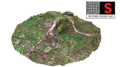 ağaç güdük 3d varlıklar bark şube toplama orman oyun çim sarmaşık çöp model moss doğa eski bitki hazır kök tarama ahşap 3d print model - Mito3D