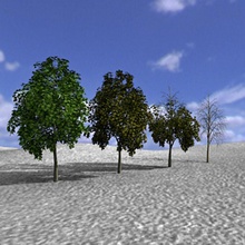 ağaç ağaçlar arboles arbol 3dsmax9 bosque toplama orman madera megalodon24 model doğa bitki örtüsü ahşap 3d print model - Mito3D