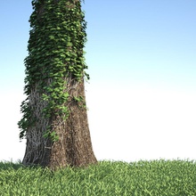 tronc d'arbre couvert de lierre caracollo cortex le couvercle les environnements jardin l'herbe ivy modèle la nature organique plein air l'usine en arbre végétation 3d print model - Mito3D