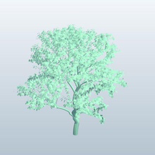treesketch tree1 v1 large tree plants wildlife printable lowpoly 3d print model - Mito3D
