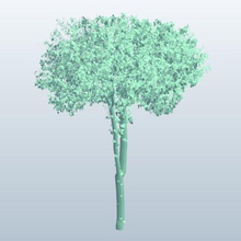 treesketch tree5 v1 tall tree plants wildlife printable lowpoly 3d print model - Mito3D
