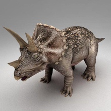 triceratops animado animais besta bípede osso criaturas dino dinossauros jurássico kvakling lagartos lowpoly modelo monstro répteis equipamento 3d print model - Mito3D