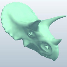 triceratops head v2 dinosaurs printable lowpoly 3d print model - Mito3D