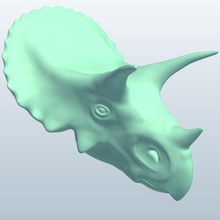 triceratops cabeza v2 los dinosaurios imprimible lowpoly 3d print model - Mito3D