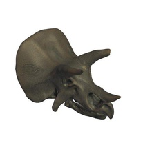 triceratops skull fossil v1 artifacts printable lowpoly 3d print model - Mito3D