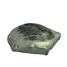 trilobite fossiles v1 fossile les artefacts imprimable lowpoly 3d print model - Mito3D
