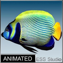 8 tropikal balık 3d Amerika hayvan animasyonlu uygulama taze inventerium model gerçek zamanlı rig ekran koruyucu Güney yüzme doku su 3d print model - Mito3D