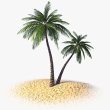 tropical palm tree banana beach beyond3d coconut desert flora model plant rainforest subtropic succulent vegetation 3d print model - Mito3D