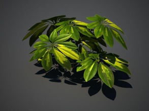 tropical plant flower forest gu art leaf model rainforest small 3d print model - Mito3D