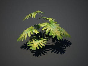plante tropicale la fougère de fleur forêt gu art feuille modèle l'usine petite tropical 3d print model - Mito3D