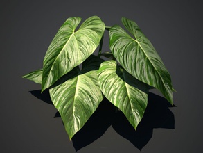 planta tropical de la flor bosque gu art hoja modelo selva pequeño 3d print model - Mito3D