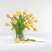 tulipe fleur de vase la décoration fixcode84 le mobilier verre maison modèle l'usine petite d'arbre en arbre tulip 3d print model - Mito3D