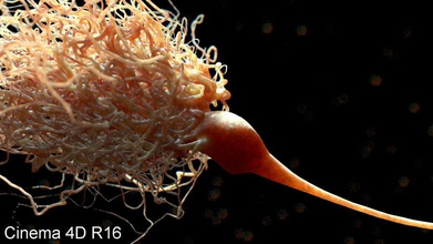 ultra-realistische neuron detailliert im Alter Anatomie Biologie Körper Gehirn Zelle Charakter - degeneration detail Krankheit glia Mensch Intelligenz Säuger die medizinische Medizin Mikroskop mikroskopische mind Modell Nerv Neurologie realistisch sind Wissenschaft scyrus ultra 3d print model - Mito3D