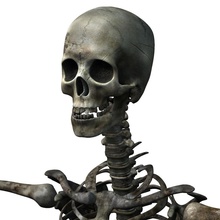 muertos vivientes esqueleto la anatomía cuerpo hueso carácter chulsoo criaturas las mazmorras humanos jun modelo monster óseo en tiempo real esquelético el cráneo de columna vertebral zombie 3d print model - Mito3D