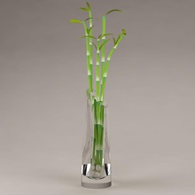 vaso & bambu 3d botânico arbustos a decoração o design flor de flores jardim grama hedges interior paisagem folha ao vivo modelo natureza planta realista quarto skyart3d árvore 3d print model - Mito3D