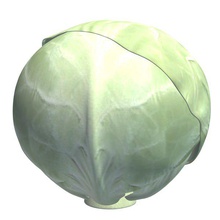 vegetable v1 cabbage food printable lowpoly 3d print model - Mito3D