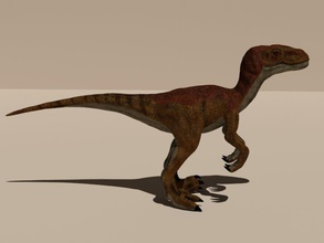 velociraptor animale dino i dinosauri giurassico lucertole modello ouroboros888 predatore raptor rettili 3d print model - Mito3D