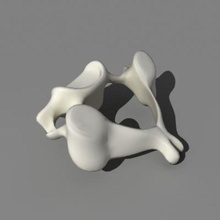 Wirbel Halswirbel Anatomie Körper Knochen Charakter Mensch Teile Wirbelsäule zoo m 3d print model - Mito3D
