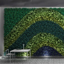 vertikale Gartenarbeit archi-viz Architektur design Elemente Garten grün Landschaft Modell pflanze Wand 3d print model - Mito3D