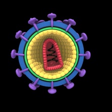vih virus de la structure l'anatomie mort maladie santé le l'homme modèle morphologie science seedsquid l'asdi 3d print model - Mito3D