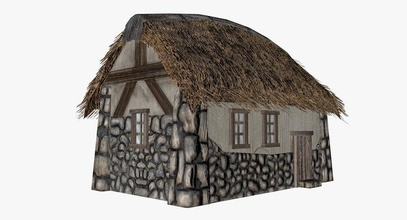 village house architecture building hut maksmiks medieval model roof shack stone store structure thatch wall 3d print model - Mito3D