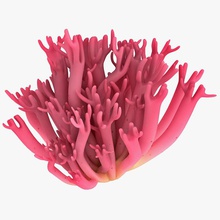 violet branched coral fungus 3d molier 3ds animal branch fish life max model ocean plant polyp reef rock sea seaweed small underwater vray 3d print model - Mito3D