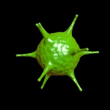 virus l'anatomia i batteri czkeita medico le droghe salute sano la medicina microscopici modello analoghi farmacologia scienza malati di malattia benessere 3d print model - Mito3D