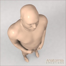 visible male skin anatomia anatomy body character guys human integumentary man 3d print model - Mito3D