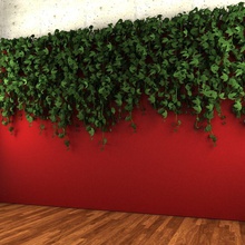 wall hanging plant - 3d ceiling cheap decor dropping exterior feel funny flower fresh green interior ivy max model natural nature small studios vine 3d print model - Mito3D