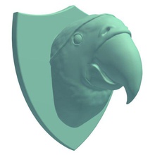 wall mountparrot head eye patch v2 mount parrot decorations printable lowpoly 3d print model - Mito3D