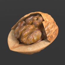walnut big trilobyte circassian english food kernel model nut nutshell plant shell tree 3d print model - Mito3D