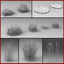 water plants 4d brain cattail flower forest lake leaf lily model plant pond small vegetation waterlilly 3d print model - Mito3D