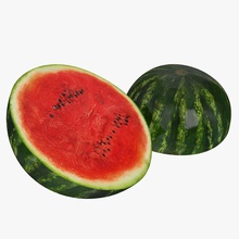 watermelon cross section 3d molier cutting diet food fresh freshness fruit green half healthy international juicy melon model nature parts red ripe seed slice snack sweet vray water 3d print model - Mito3D