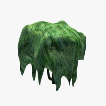 weeping willow v2 plants wildlife printable lowpoly 3d print model - Mito3D