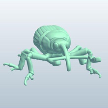 weevil v1 insects printable lowpoly 3d print model - Mito3D