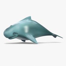 balina karikatür hayvan su mavi etobur çizgi film fin balık büyük hayat memeli deniz model doğa okyanus 52 köpekbalığı shiva3d yüzme sualtı vahşi yaban hayatı 3d print model - Mito3D