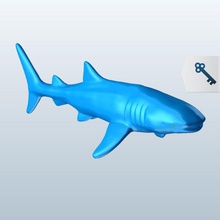 tubarão-baleia v1 baleia tubarão peixe aquáticos vida printable lowpoly peixes a aquática 3d print model - Mito3D