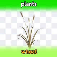 wheat agriculture bread ear epicentre farm field food grass harvester model plant sheaf small summer 3d print model - Mito3D