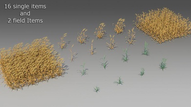 le blé des 18 critères suivants l'apec vrai du pain ferme champ les aliments de l'herbe éléments modèle l'usine la graine petite 3d print model - Mito3D