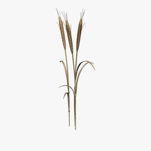 wheat field v1 stalk plants wildlife printable lowpoly 3d print model - Mito3D