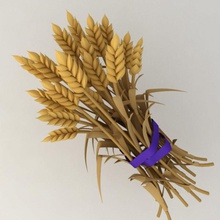 wheat reap agriculture ble bread corn ear farm field food grass hay kvakling model nature plant reaping rye seed sheaf vray 3d print model - Mito3D