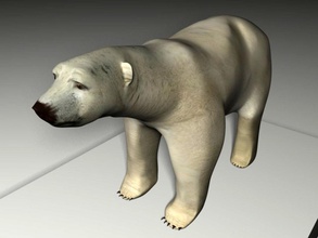 ours blanc animal l'ours dangereux de la forêt fourrure les mâchoires mammifères mcproofer prédateur sauvage sauvagerie bois le zoo 3d print model - Mito3D